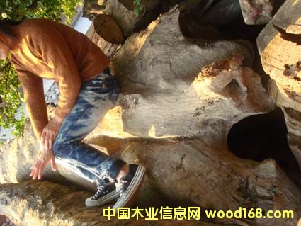 ꎳ���z�ľ��Ԕ��(x��)��B