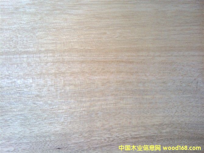 ���ԭľ��Ԕ����B