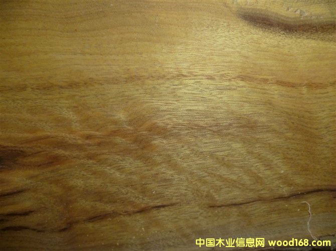 ��z�ľ��Ԕ����B