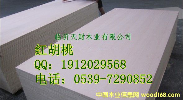 �t���Һں������z�ϰ��Ԕ����B