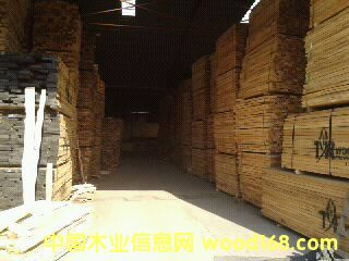 ��ľ��Ԕ����B