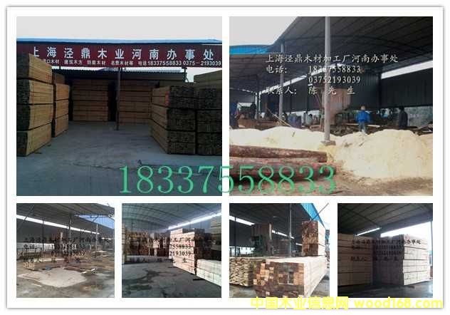 ����ľ�������̿���������ľ��