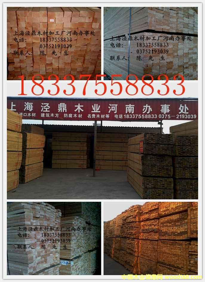 ������ľ���������ɰ��������ľ����Ԕ��(x��)��B