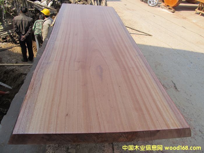 �c���鿴��ľ���/�����S������/���K��ľ����_/����/�S�Ҷ����Ŵ�DƬ