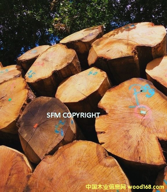 �W��PEFC����ԭľ��Ԕ��(x��)��B