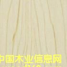 ���B(t��i)�壨��ľ����Ԕ��(x��)��B