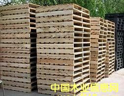 木托的詳細(xì)介紹