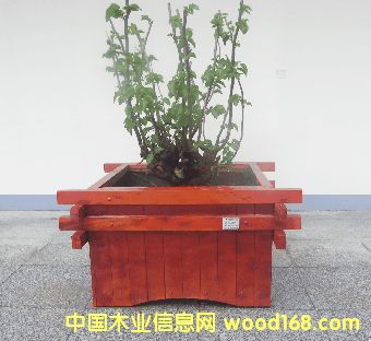 ���v����ľ��Ԕ��(x��)��B