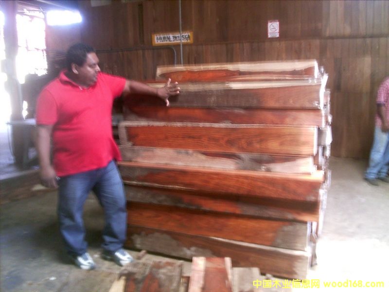 微凹黃檀(精方) 微凹黃檀(精方)