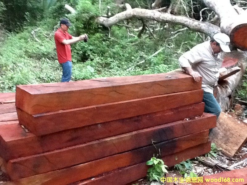 ��Ƥ���� �ذ��ütľ