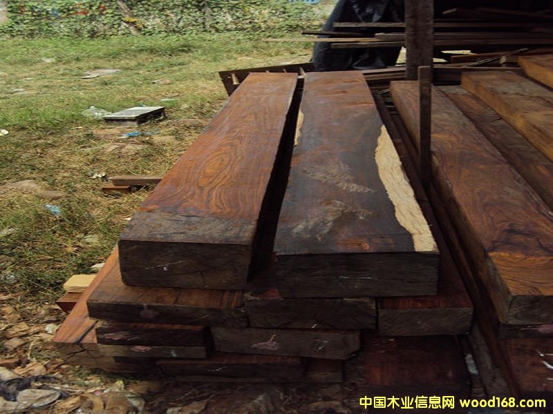 微凹黃檀(精方) 微凹黃檀(精方)