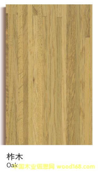 ��ľ��(x��)����Ԕ��(x��)��B