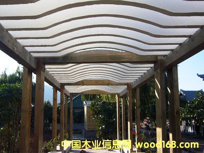 ����ľ��Ԕ��(x��)��B