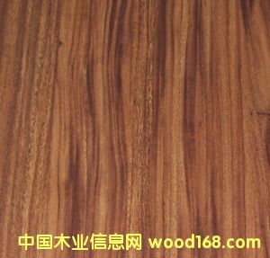 �c(di��n)���鿴���}��Ŵ�DƬ