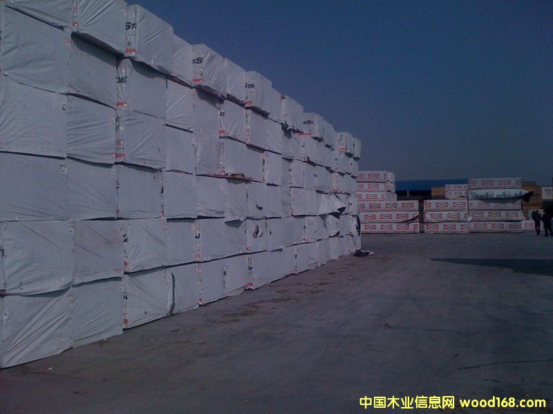 ����SPF��Ԕ����B