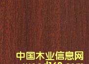 ���B(t��i)����ɳ������Ԕ����B