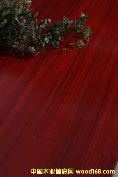 �·ƹ�����(y��u)�|(zh��)ɳ������ľ�ͺϵذ��Ԕ����B