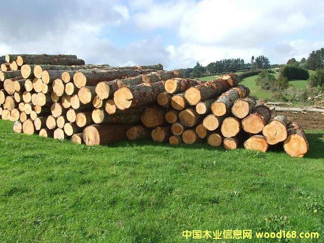 �����mݗ����ԭľ��Ԕ��(x��)��B