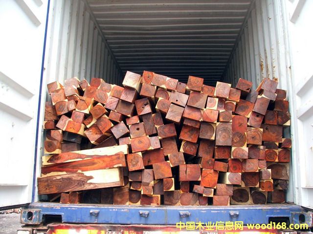 쳝�(j��)�һ�о��ĵ�Ԕ��(x��)��B