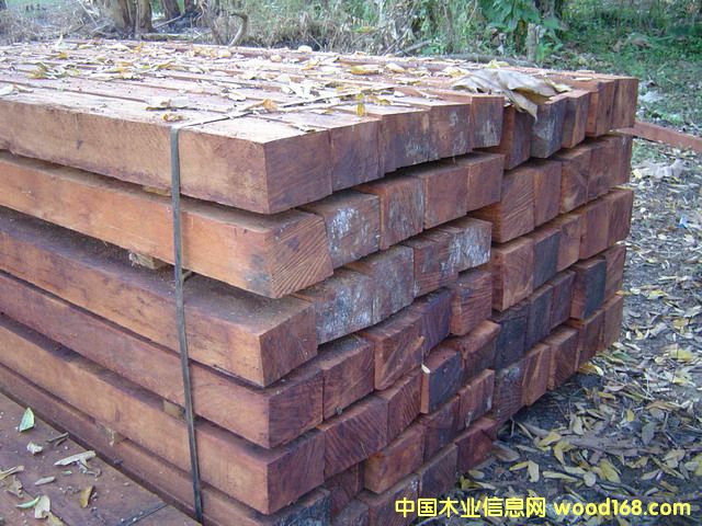 쳝�(j��)�һ�о��ĵ�Ԕ��(x��)��B