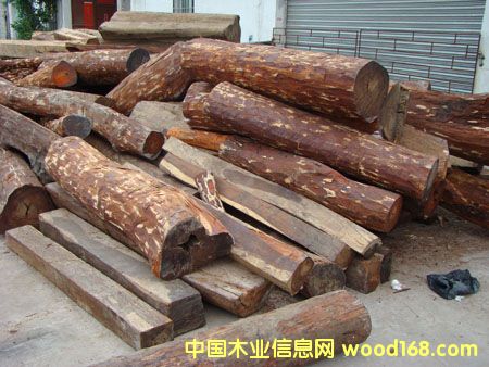 �M(j��n)�ږ|�ρ��R����/��˼ľacaciaԭľľ���M(j��n)�ڈ��P(gu��n)��Ԕ��(x��)��B