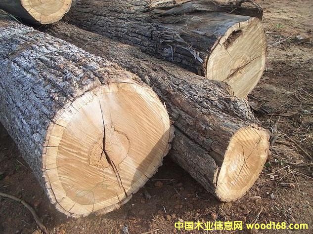 �M(j��n)�������mݗ����/�ڂ���/ˮɼ/���~��ԭľ�M(j��n)�ڈ��P(gu��n)