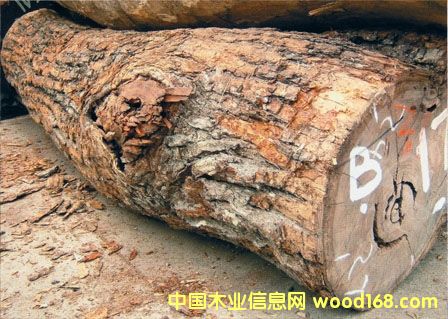 �M���������ô���ľ/�Fɼ/����ľԭľ�M�ڈ��P(gu��n)