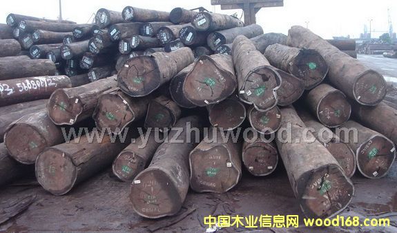 ����������ľ/����ԭľ��Ԕ��(x��)��B