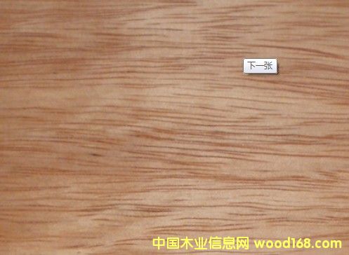 ��ľ ��ľ��� ��ľ�S�ҵ�Ԕ����B