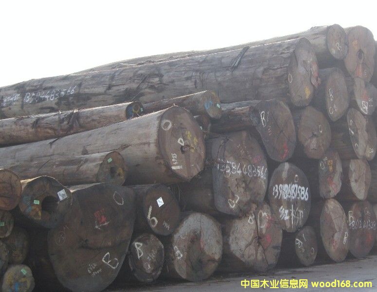 ����ľԭľ��Ԕ����B