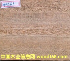 ���ް̈́�ľ��Ԕ����B