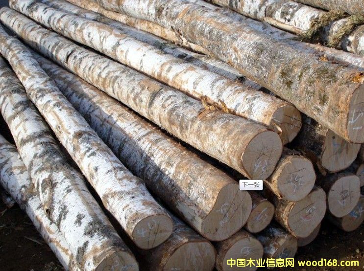 �Fɼԭľ��Ԕ����B