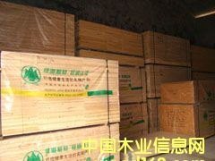 ��ľ�����Ԕ����B