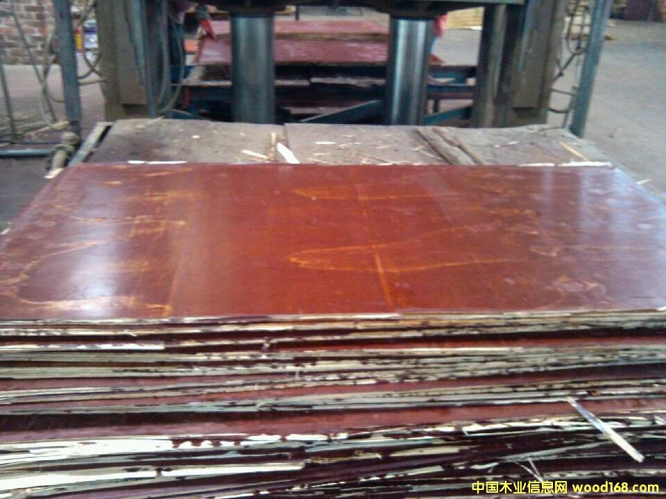 ��ȩ�z��ľ����Ԕ��(x��)��B