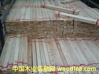 ���ݰl(f��)؛��Ԕ����B