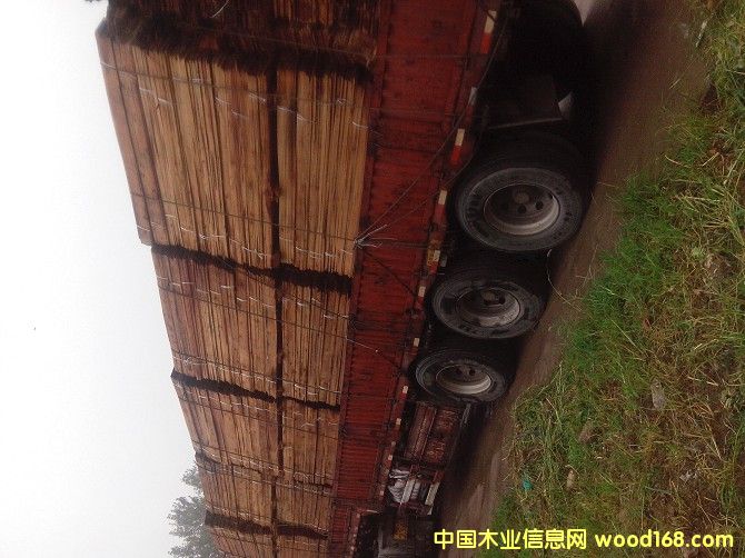 �����Ԕ��(x��)��B