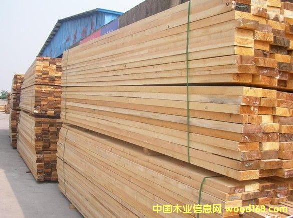 落葉松的詳細(xì)介紹