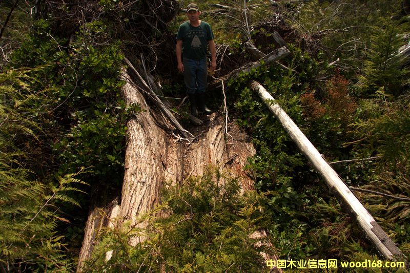 �tѩ��ԭ��(sh��)