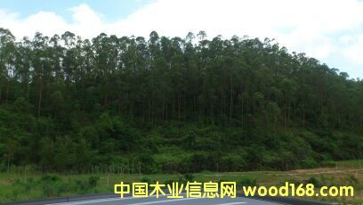 ���ԭľ��Ԕ��(x��)��B