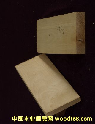 ��ľԭľ��Ԕ����B