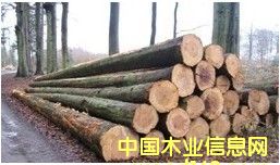 �؎X��ľԭľ��Ԕ����B