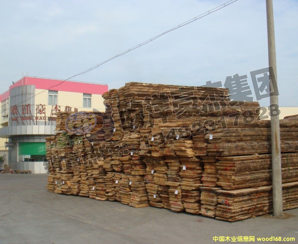 [��] ݗ����ȫ�o��(ji��)�� FSC�C�� �ٷְٟo��(ji��) �]�{(l��n)׃ A��ȫ���