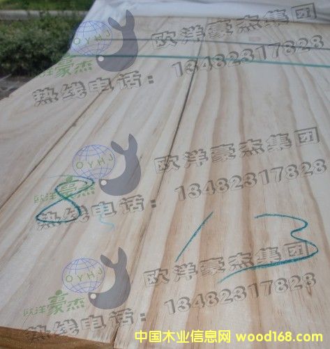 [��] �̓r(ji��)ARAUCO����ݗ����24�Ҿ߼�(j��)���