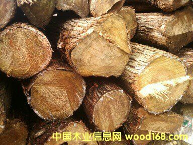 ɼľԭľ��Ԕ����B