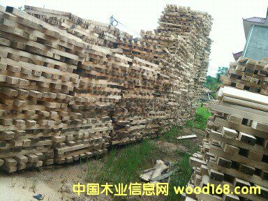 ͩľ䏲ĵ�Ԕ����B