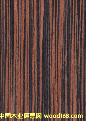 �c���鿴�Ƽ�ľƤ�Ŵ�DƬ