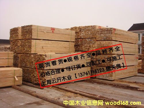 輻射松的詳細(xì)介紹