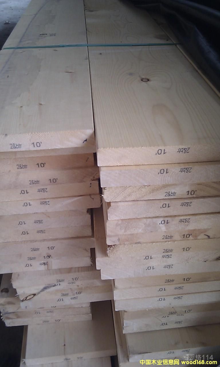 白松的詳細(xì)介紹