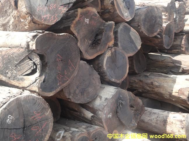 С�u��ľ��Ԕ����B