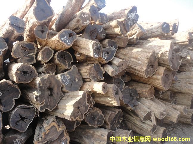 ��ľ��Ԕ����B